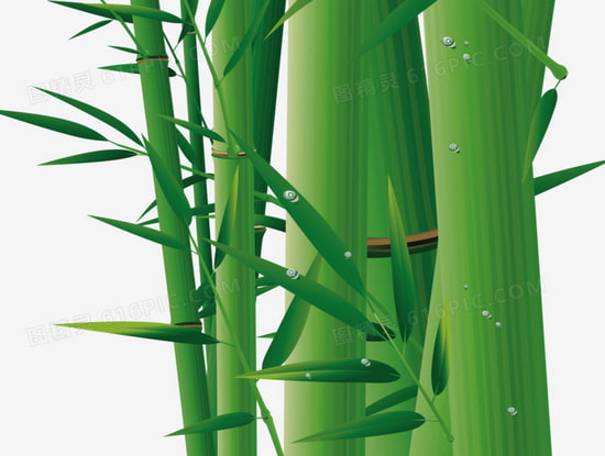 Bambusböden